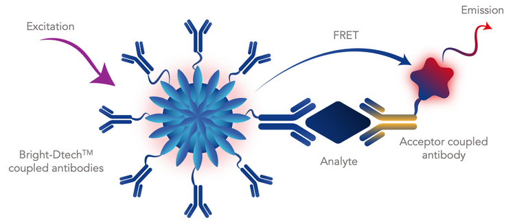 Bright-Dtech antibody FRET assay diagram with excitation, analyte binding, and acceptor emission
