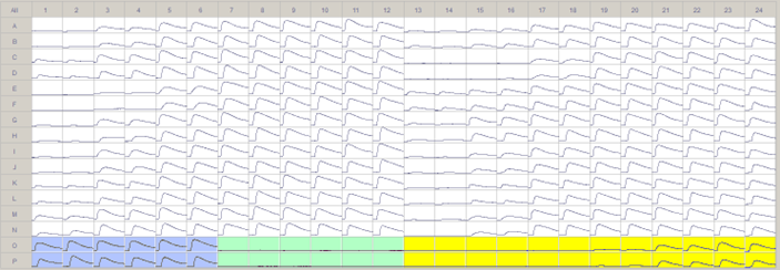 A dose response plate from a routine screening measurement containing dilution series