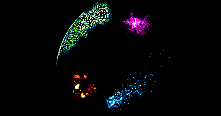 Virus Inhibitor in Data-Driven Way