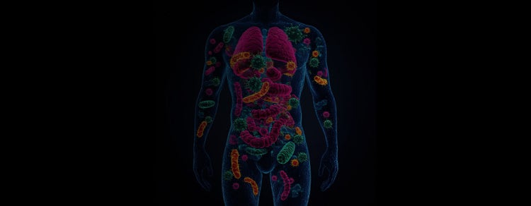 Anaerobic Microbiome Workflows