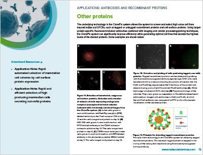 Cell surface protein expression