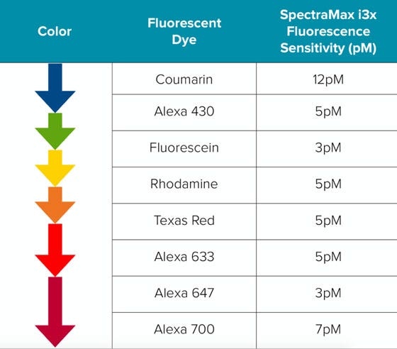 imaging and analysis of cells