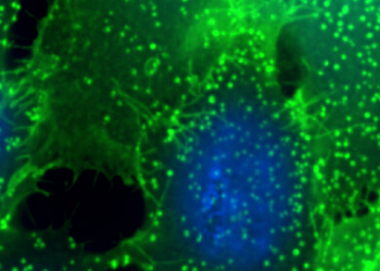 TRF, TR-FRET & HTRF