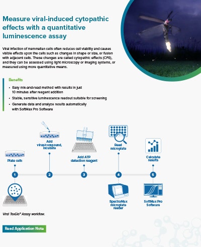 Measure viral induced Cytopathic effects