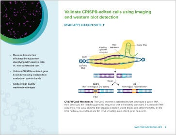 Validate CRISPR