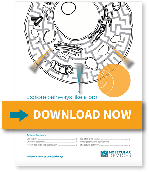 Explore Cell Pathways Like A Pro