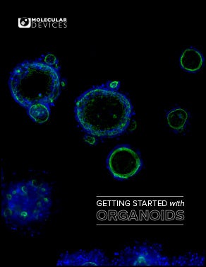 eBook on Organoids
