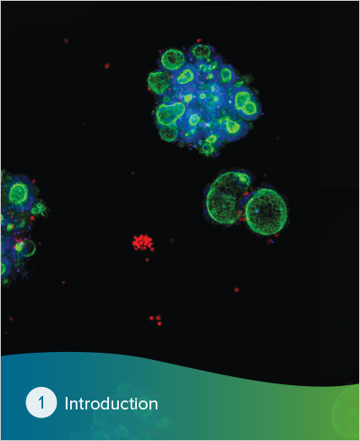 Organoids ebook