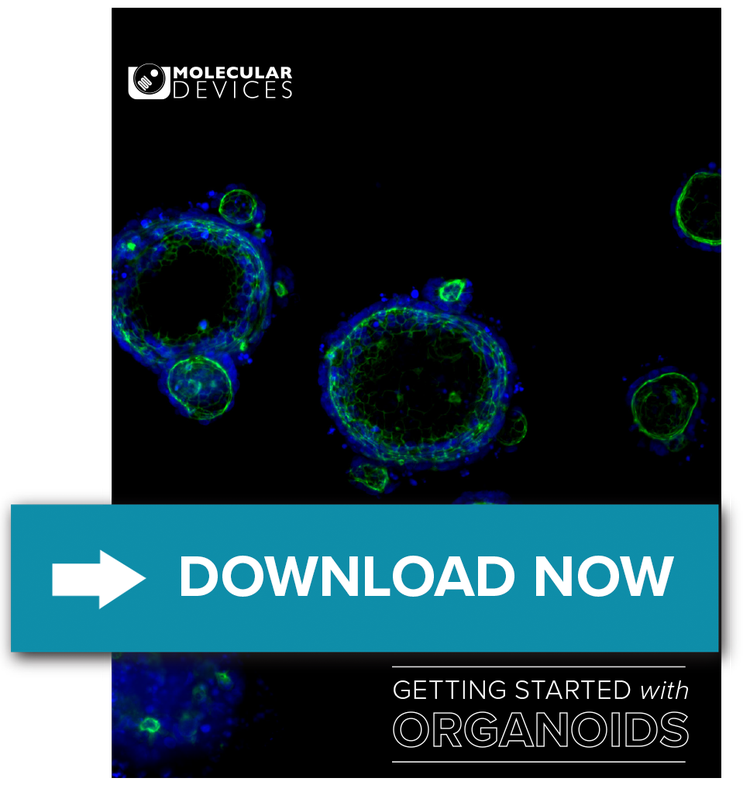 eBook on Organoids