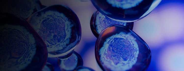 Cell Culture