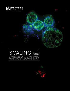 Organoids ebook