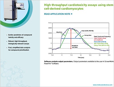 High throughput cardiotoxicity assays