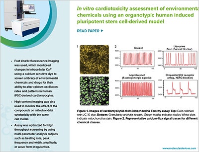 In vitro cardiotoxicity assessment