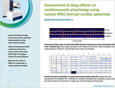 Drug Effects on Cardiomyocyte Physiology