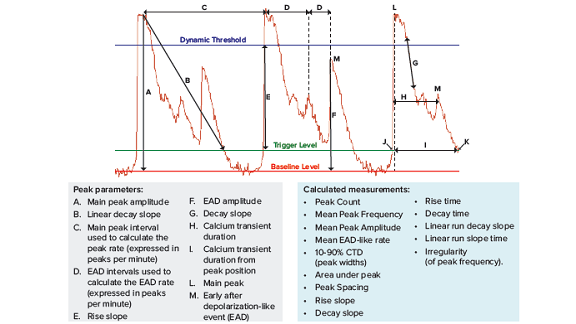 Multi-parametric assessment of compound-induced pro-arrhythmic effects in human iPSC-…