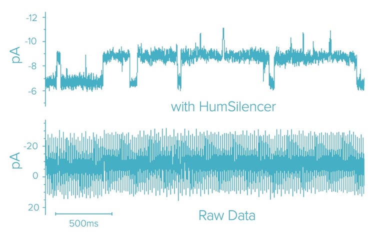 Humsilencer Electrophysiology