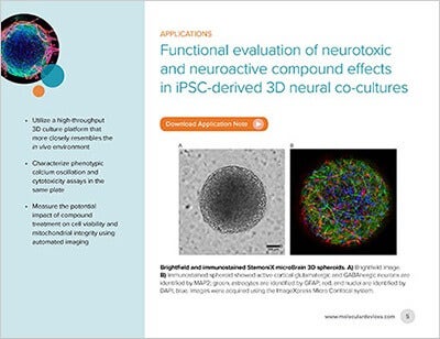 Neural Co-culture Platform