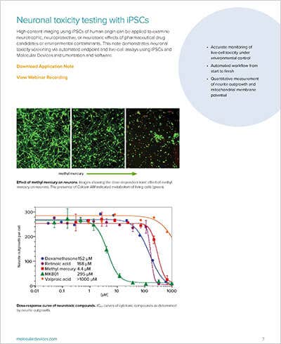 Neuronal toxicity