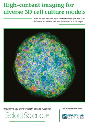 3D cell models-Ebook