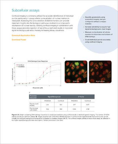 Subcellular Assays