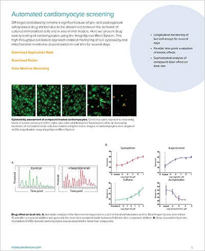 Automated cardiomyocyte screening