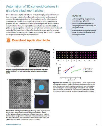 Spheroid Culture