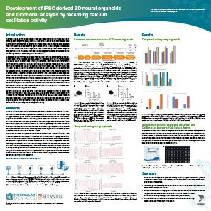 3D neural organoids Poster