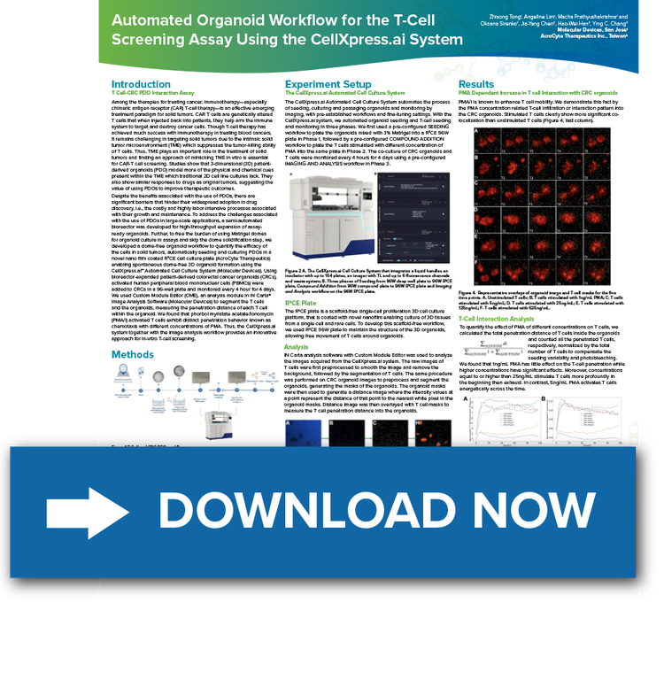 Organoid Workflow in T-Cell Screening Poster