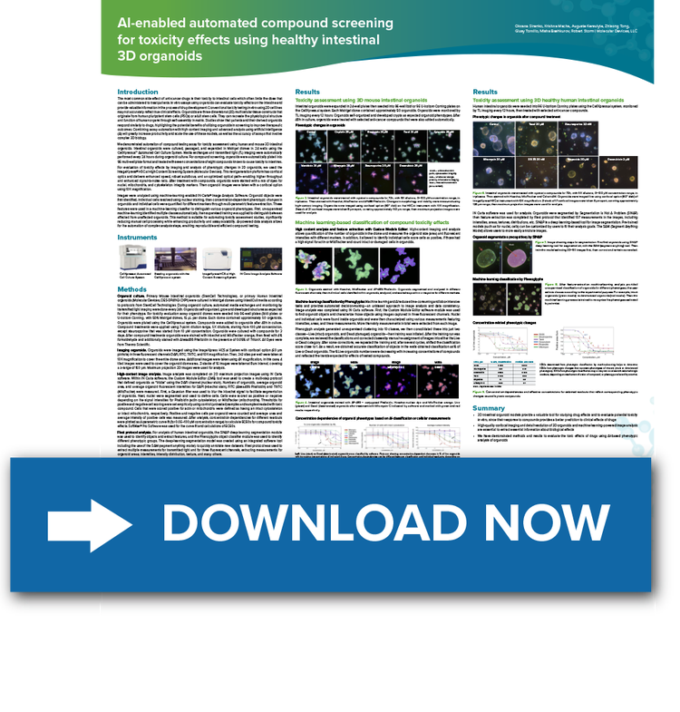 Intestinal 3D Organoids-Poster