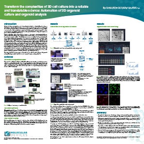 3D cell culture poster