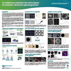Brain Organoid Generation Scientific Poster