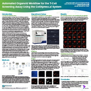 Organoid Workflow in T-Cell Screening Poster