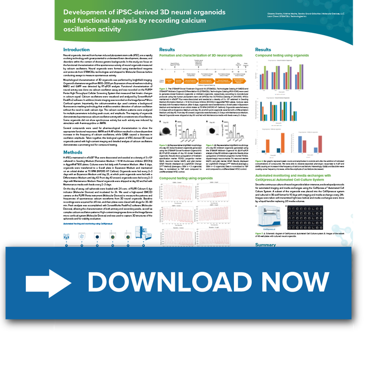 3D neural organoids Poster