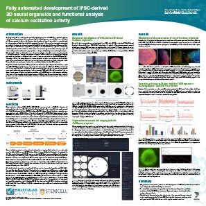 Brain Organoid Poster