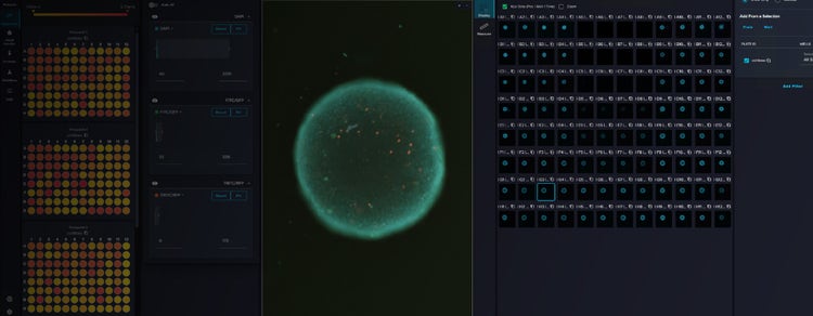 Reproducible Organoid Cultivation