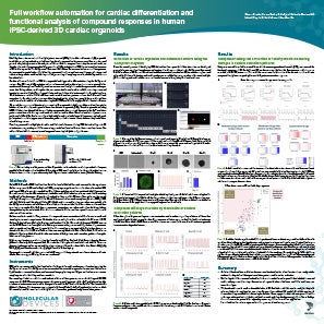 Poster- iPSC-derived 3D cardiac organoids