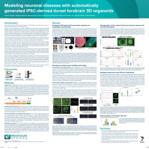 Poster on IPCS derived brain organoids