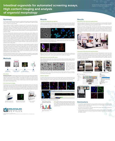 Intestinal organoids for automated screening assays