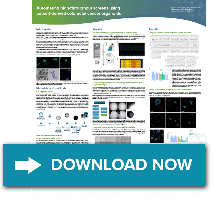 Colorectal Cancer Organoids