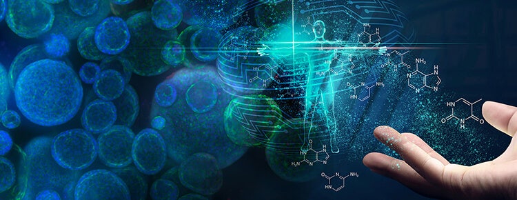 How 3D Cell Models Will Shape the Future of Drug Discovery