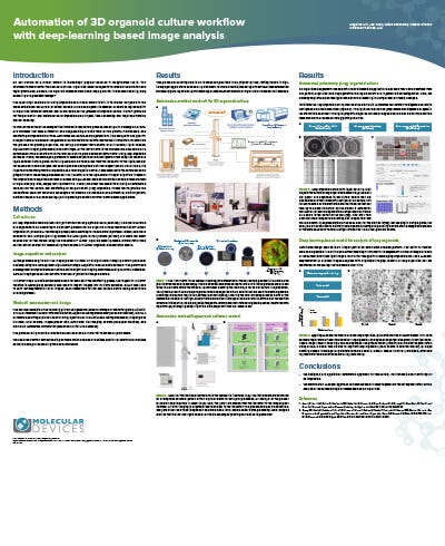 Automation of the organ-on a chip assay and analysis of angiogenesis