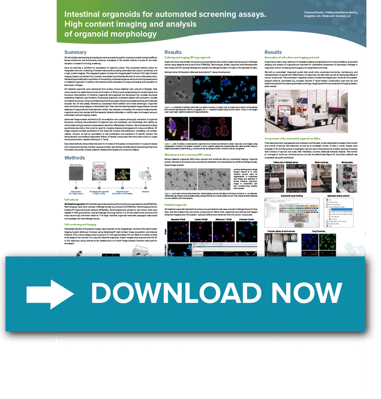 Intestinal organoids for automated screening assays