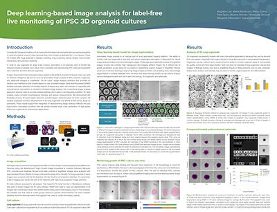 Deep learning-based image analysis