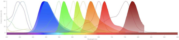 Fluorescence SpectraViewer1 excitation and emission spectra of fluorophores