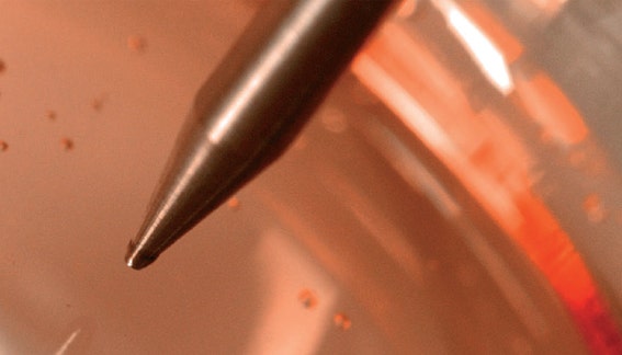 Clone screening solutions