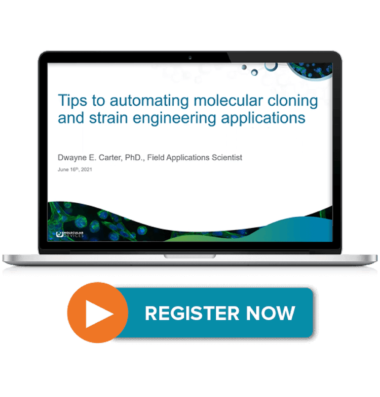 Molecular Cloning and Strain Engineering