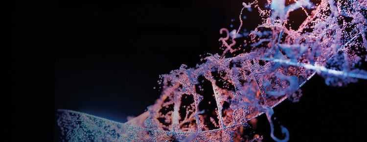 Genome Editing