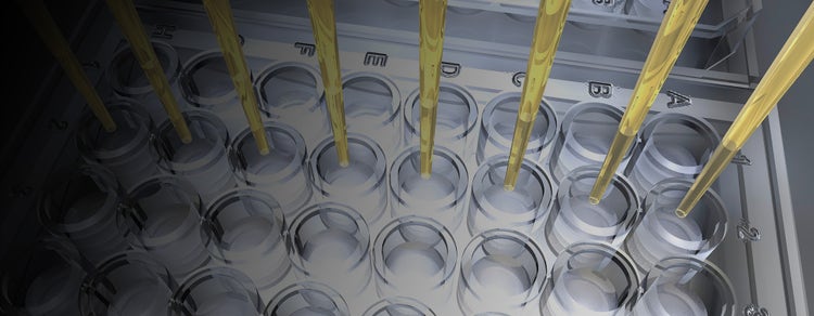 Bacterial Endotoxin Test
