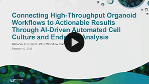 Organoid Workflow Tutorial