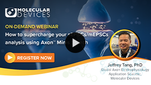 Synapse Model Image Patch clamp Minis Search Webinar
